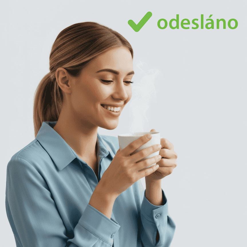 Integrace na účetní systémy