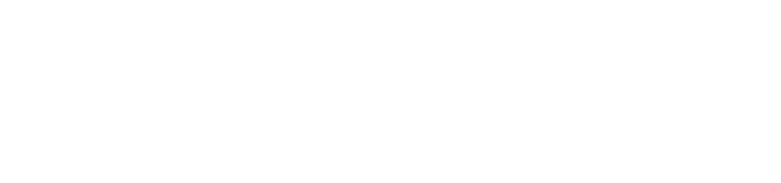 FaktApp Logo White